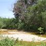 Pease District Park