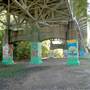 Trinity Park