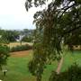 Blue Heron Bed and Breakfast