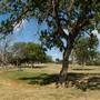 Murphy Park