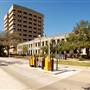 Texas A&M University