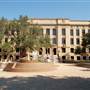 Texas A&M University
