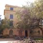 Texas A&M University