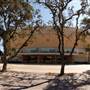 Texas A&M University