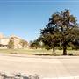Texas A&M University