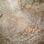 Cascade Caverns