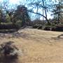 Japanese Garden in Hermann Park