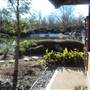 Japanese Garden in Hermann Park