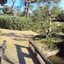 Japanese Garden in Hermann Park