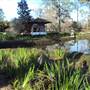 Japanese Garden in Hermann Park