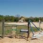 Pump Jacks on FM 141