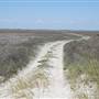 Matagorda Island