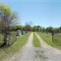 Oak Hill Cemetery