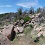 The Sandy Ranch
