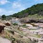 The Sandy Ranch