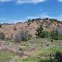 The Sandy Ranch