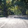 Sycamore Street Neighborhood