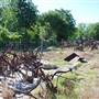 Peterson Community Garden