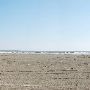 East Beach