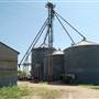 Bartlett Cotton Gin