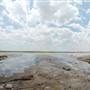 Muleshoe National Wildlife Refuge