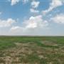 Muleshoe National Wildlife Refuge