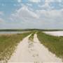 Muleshoe National Wildlife Refuge