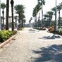 Moody Gardens