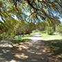 Big Stacy Park