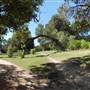 Big Stacy Park