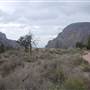Big Bend National Park - Window Trail