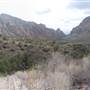 Big Bend National Park - Window Trail