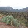 Big Bend National Park - Window Trail