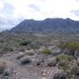 Big Bend National Park - Ward Springs Trail