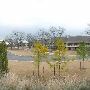 Hyatt Regency Lost Pines Resort & Spa