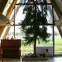 Cottonwood Inn