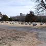 Lubbock Cemetery