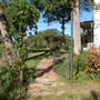 Man Homestead