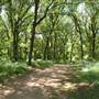 Oliver Nature Park