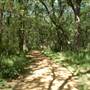 Oliver Nature Park