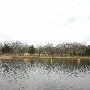 Lake Bastrop