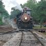 Texas State Railroad - 1901 Steam Train