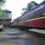 Texas State Railroad - 1901 Steam Train