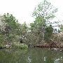 Lake Bastrop