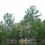 Lake Bastrop