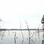 Lake Bastrop
