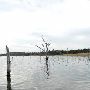 Lake Bastrop