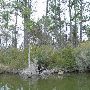 Lake Bastrop