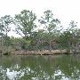Lake Bastrop