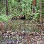 Huntsville State Park